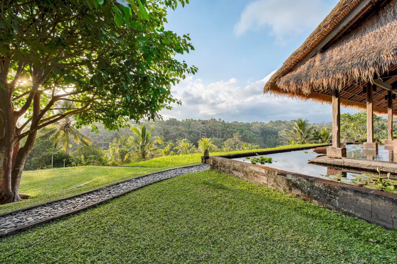 Kelusa Ubud (Bali)
