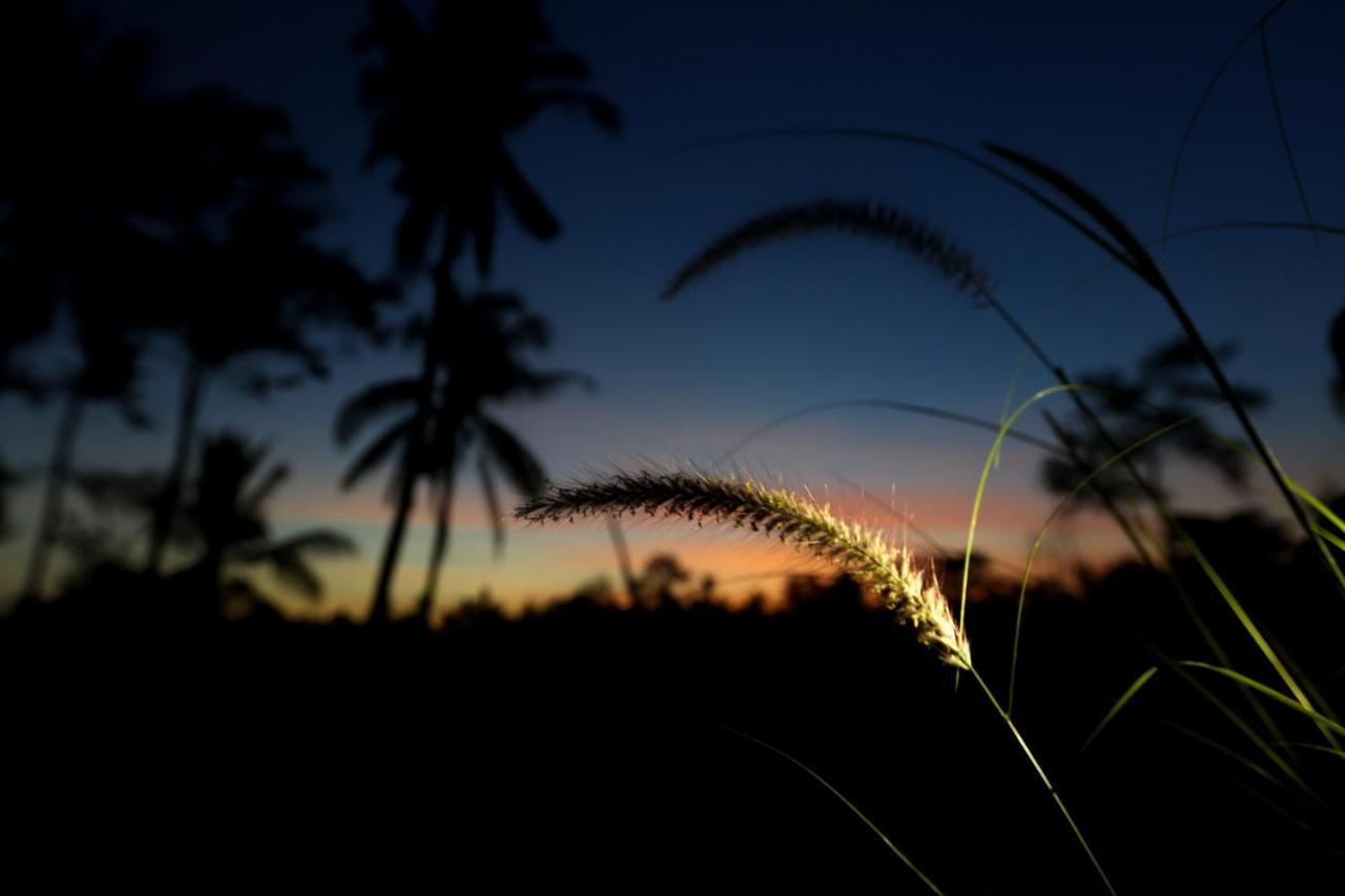 Angsoka Ubud (Bali)