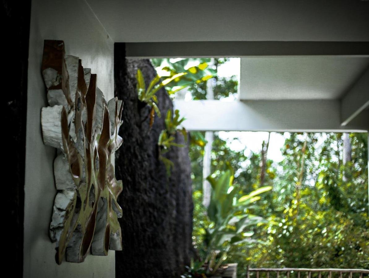 Angsoka Guest house