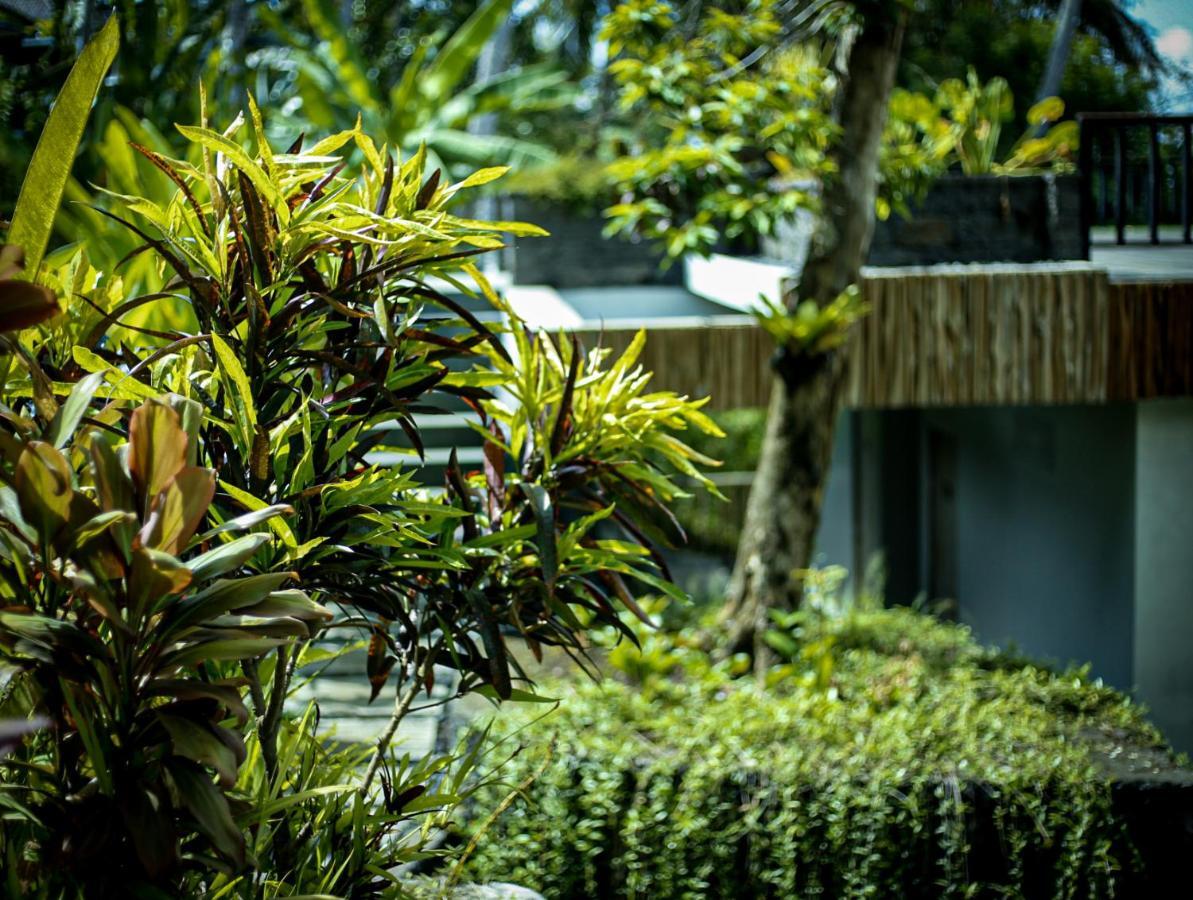 Guest house Angsoka Ubud (Bali)