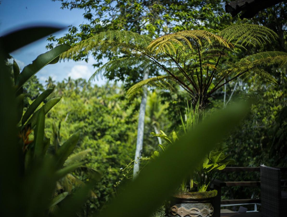 Angsoka 3* Ubud (Bali)