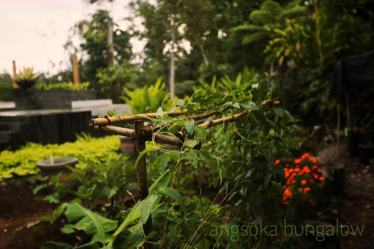 Angsoka 3* Ubud (Bali)