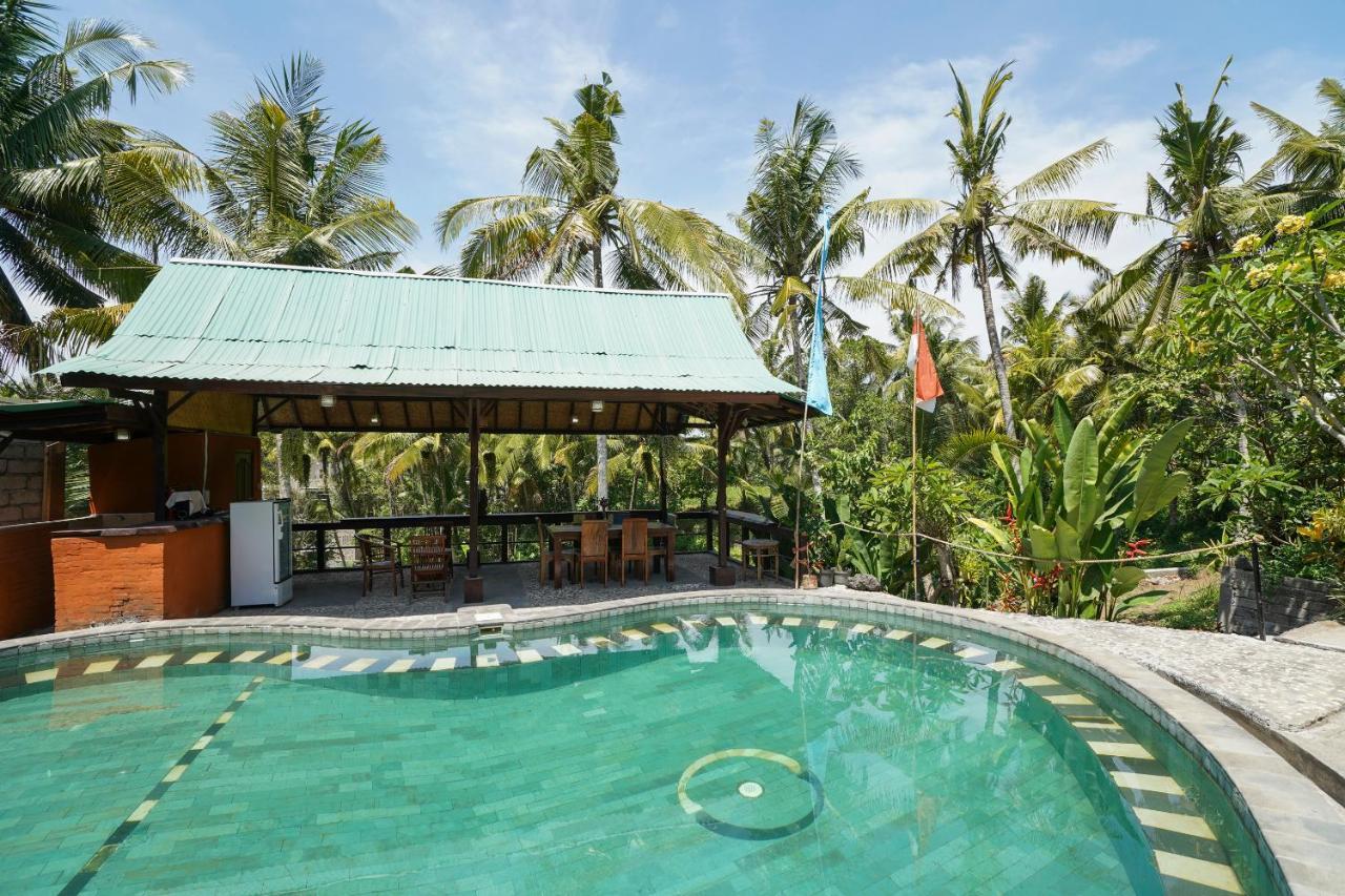 Guest house Terrace Campuhan