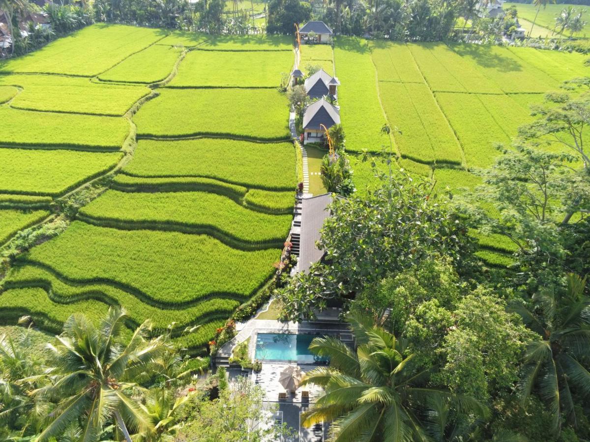Puri Raya Villa Ubud (Bali)