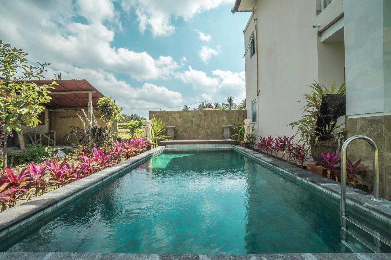 Tempat Tidur & Sarapan Putih Dcarik Ubud (Bali)