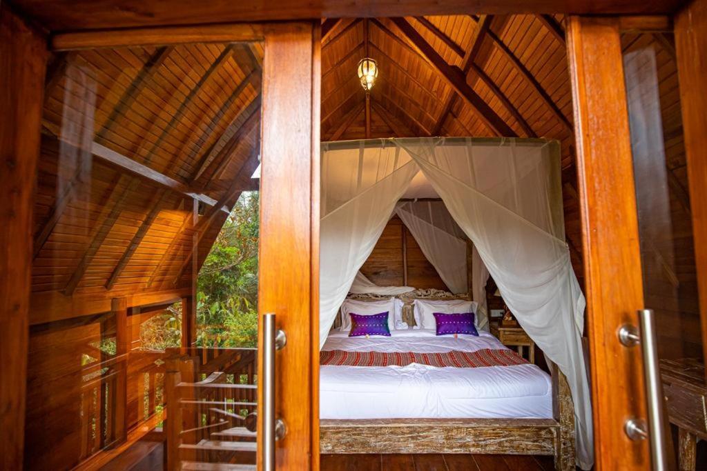 The Jungle Villa *