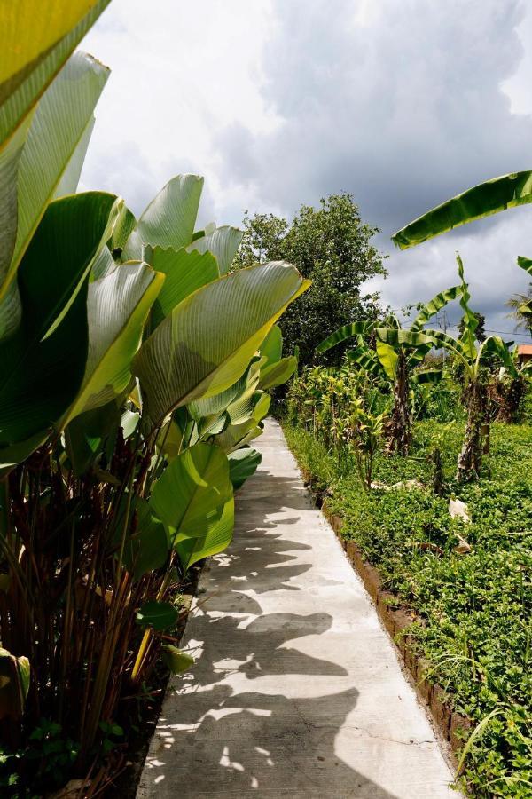 Vinayaka Guest house Ubud (Bali)
