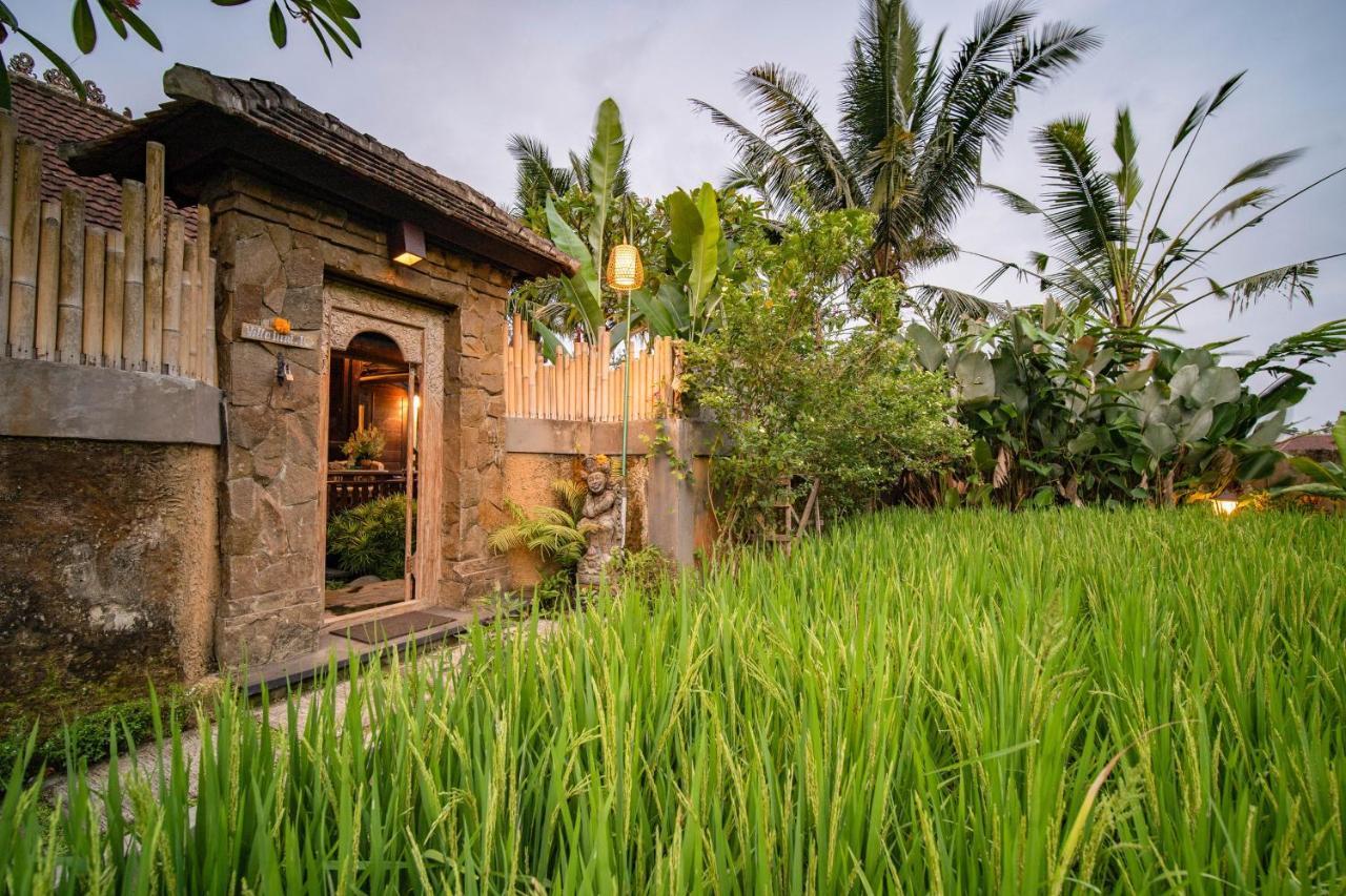 Villa Nini