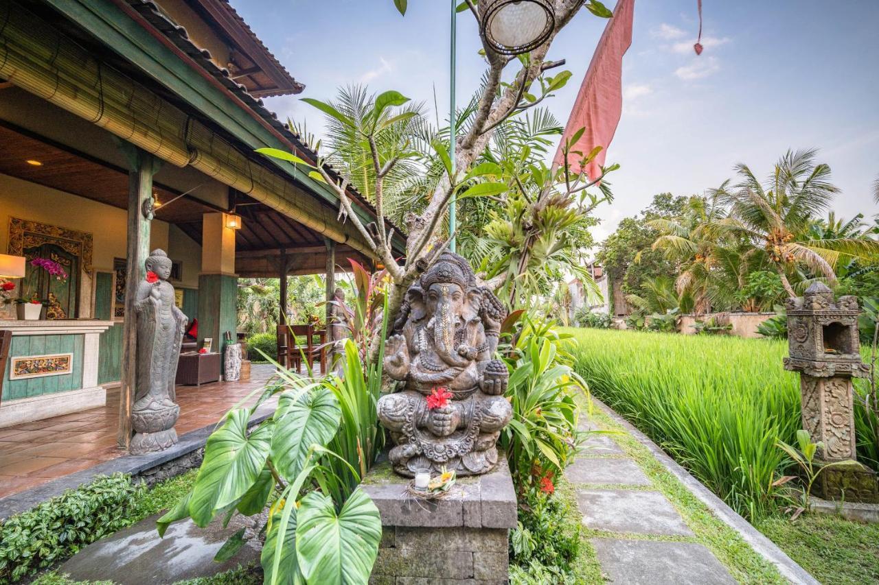 Nini Villa