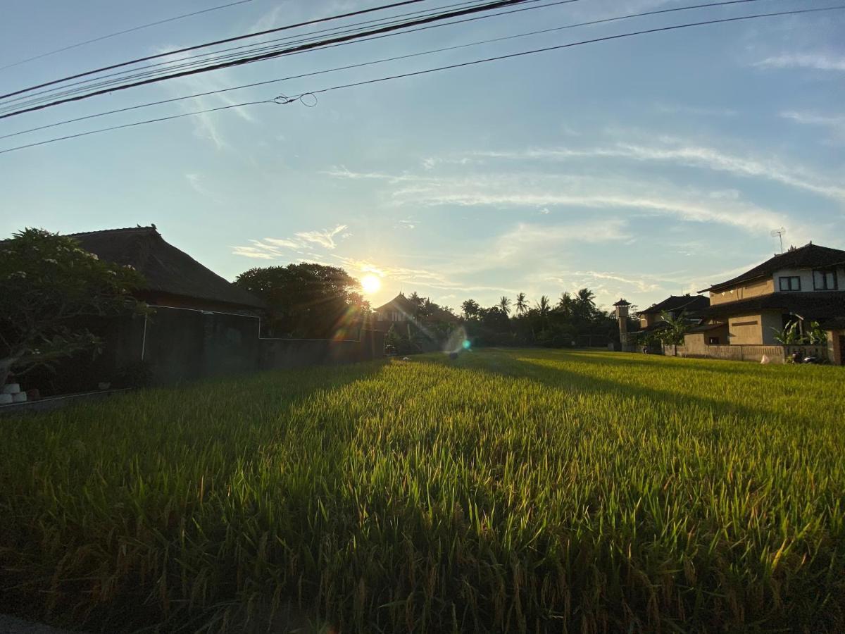 Rumah Dadong * Ubud (Bali)