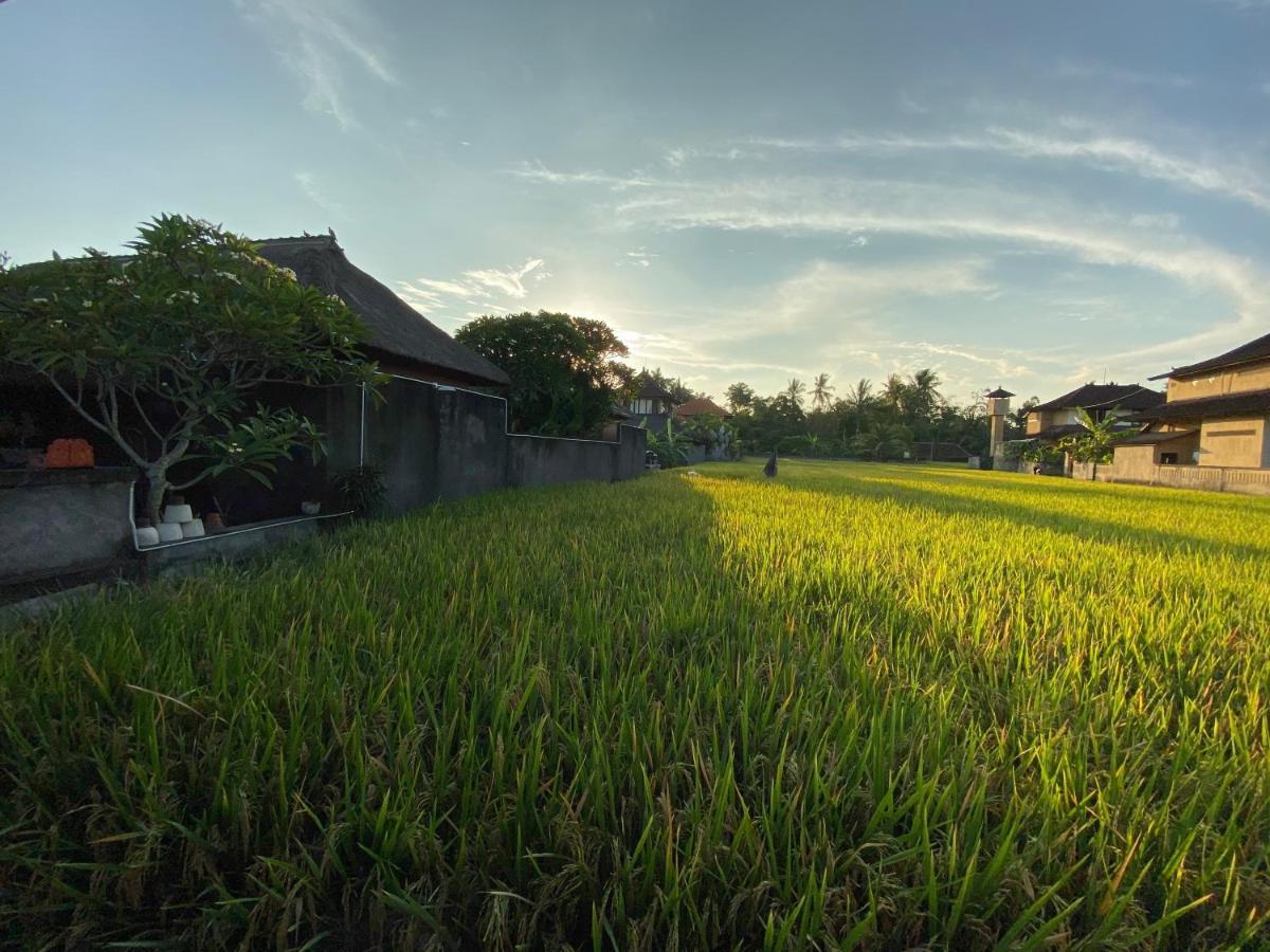 Rumah Dadong * Ubud (Bali)