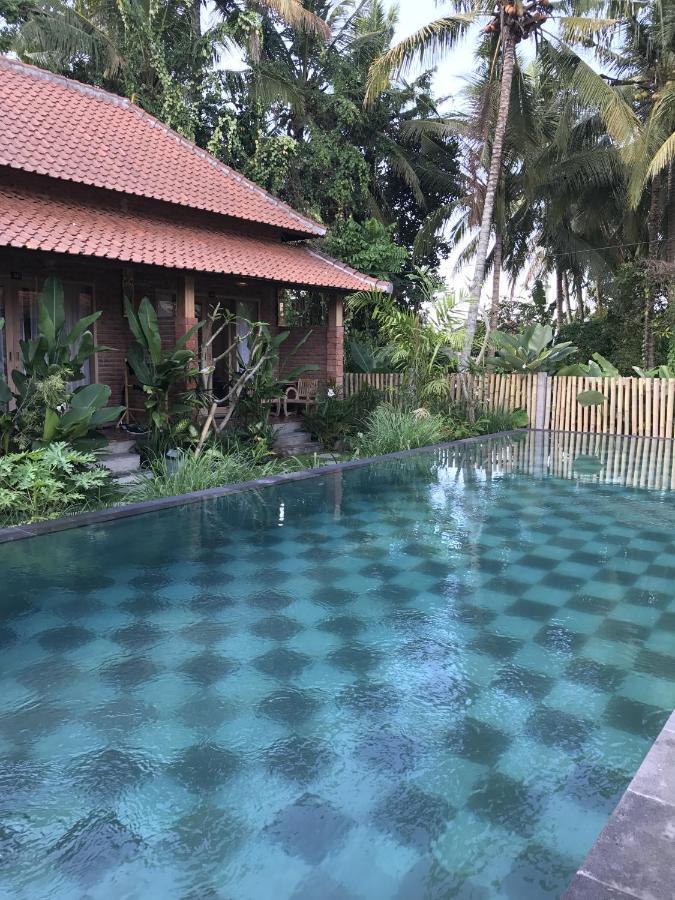 Homestay Kailash Bali