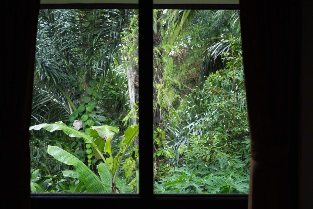 Suweta46 House Ubud