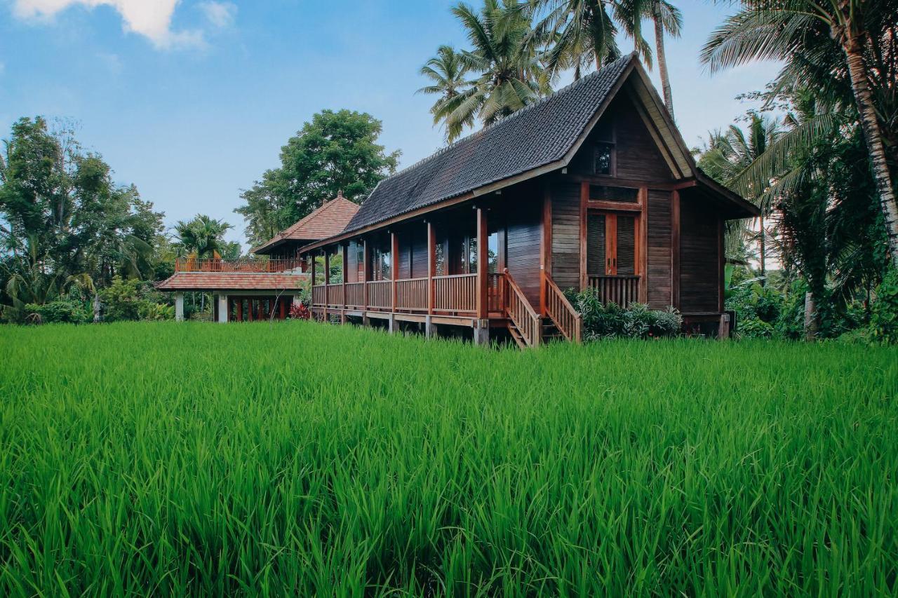Beingsattvaa Luxury Resort 4*