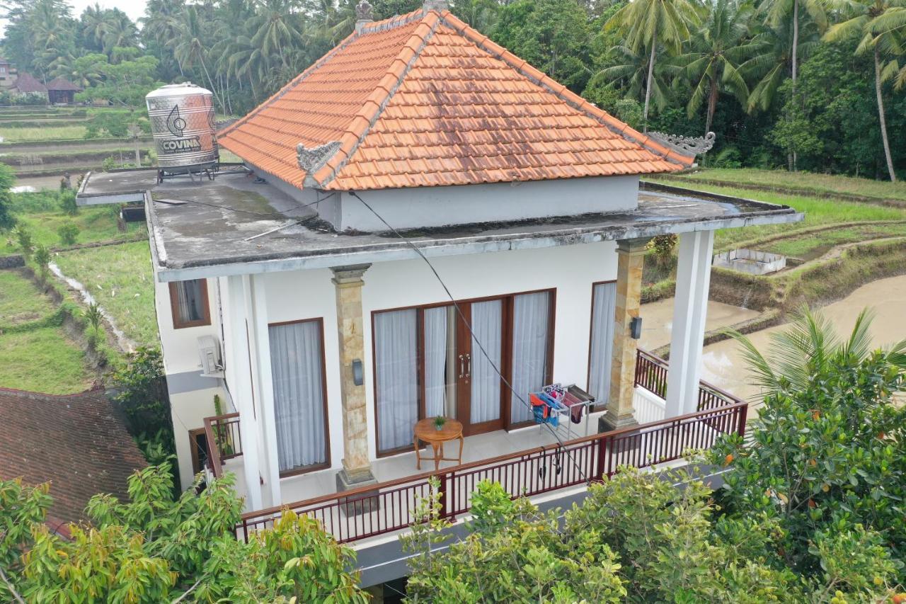 Guest house Tini 2*