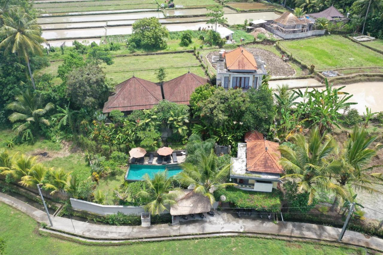 Tini Ubud (Bali)