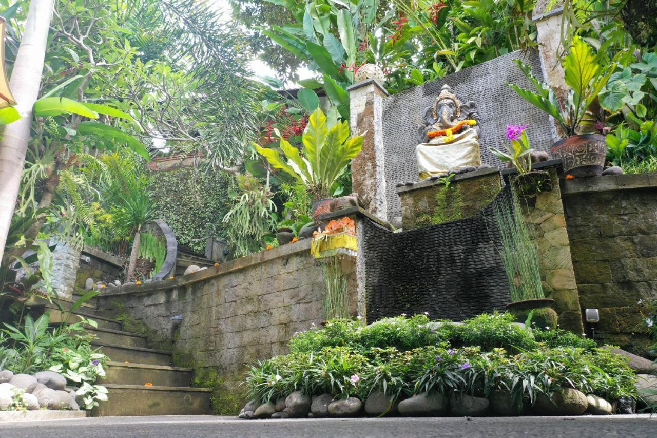 Guest house Tini 2*