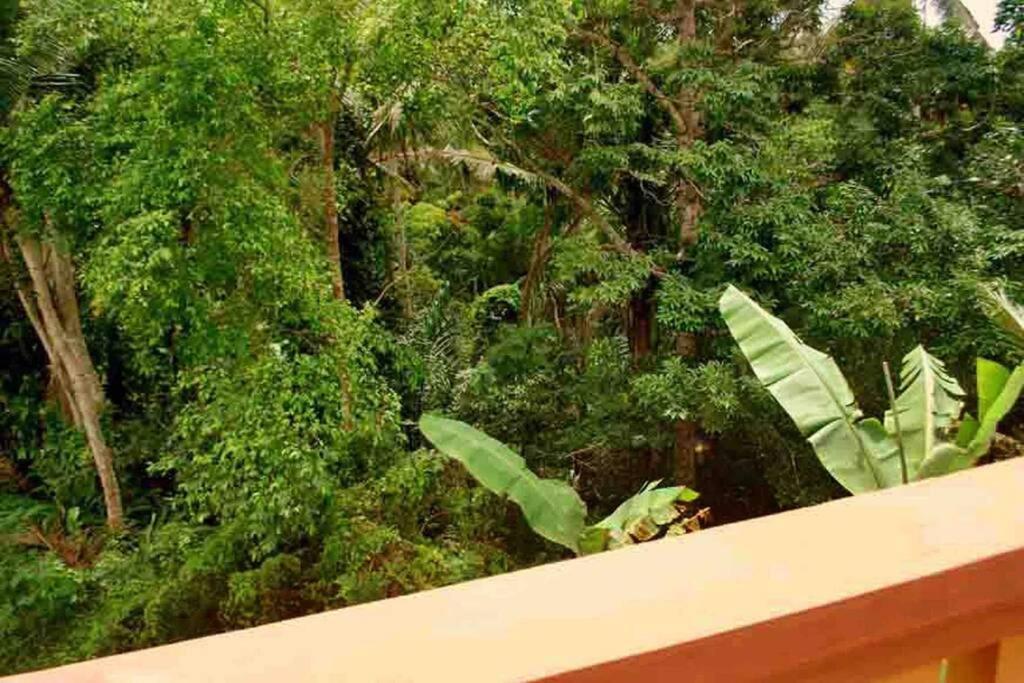 White Jasmine Villa Ubud (Bali)