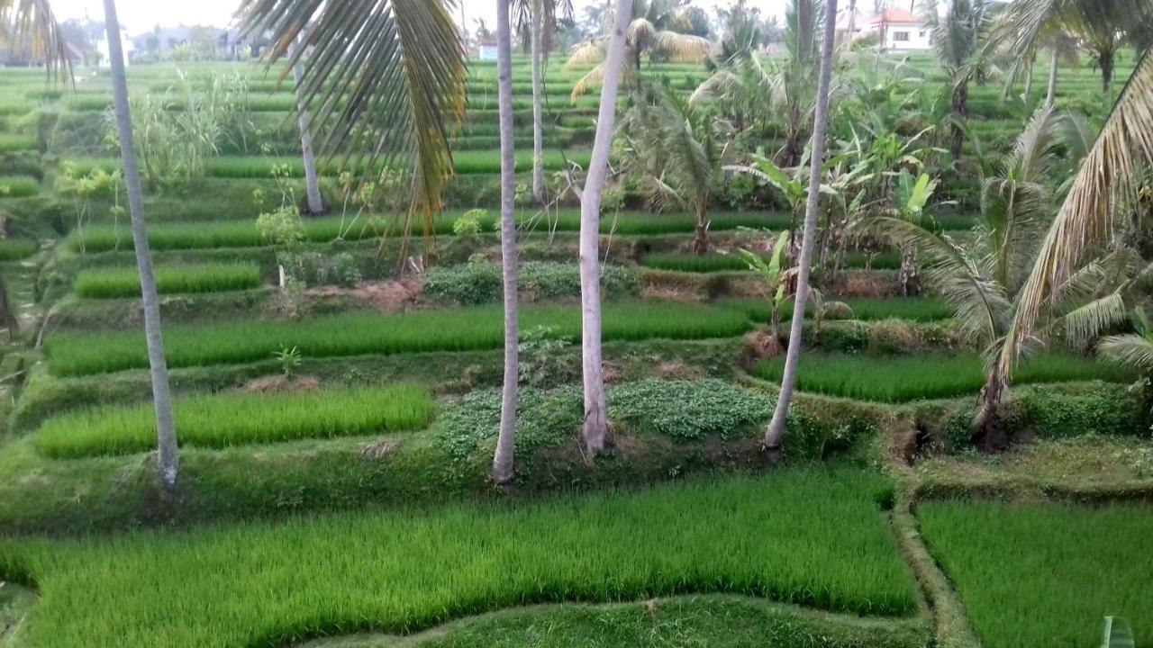 Junjungan Ferienpark Ubud