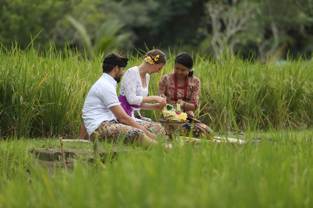 Plataran & - Chse Certified Hotel Ubud (Bali)