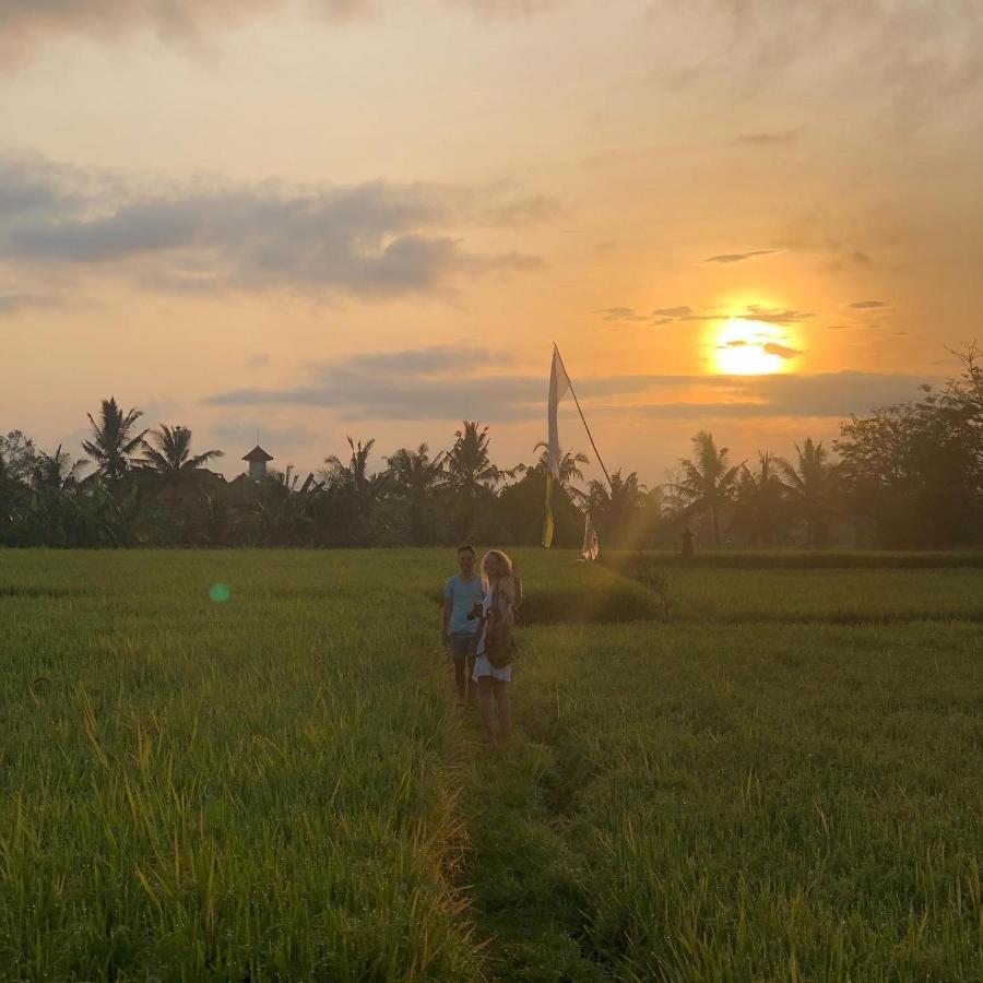 Putra 2* Ubud