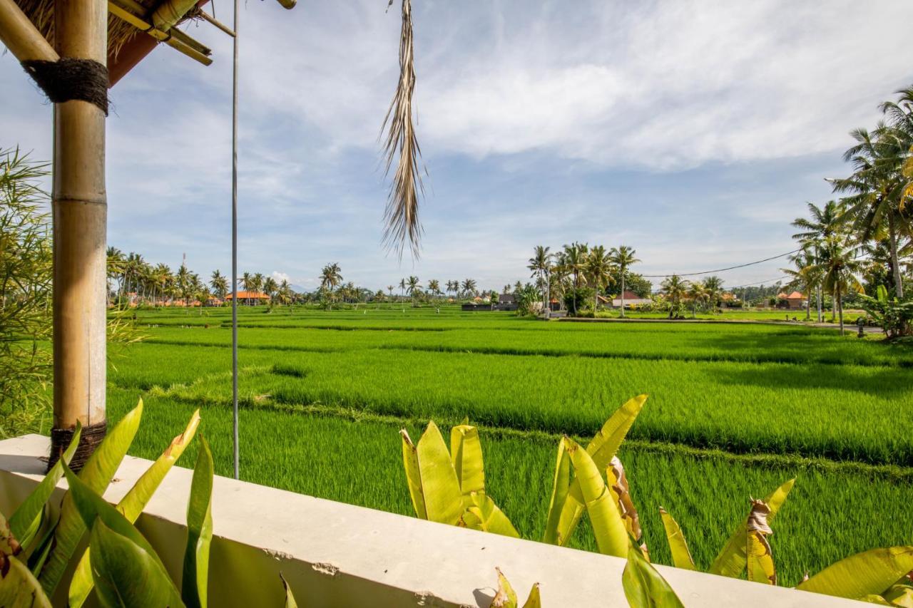 Sisin View Holiday park 3*