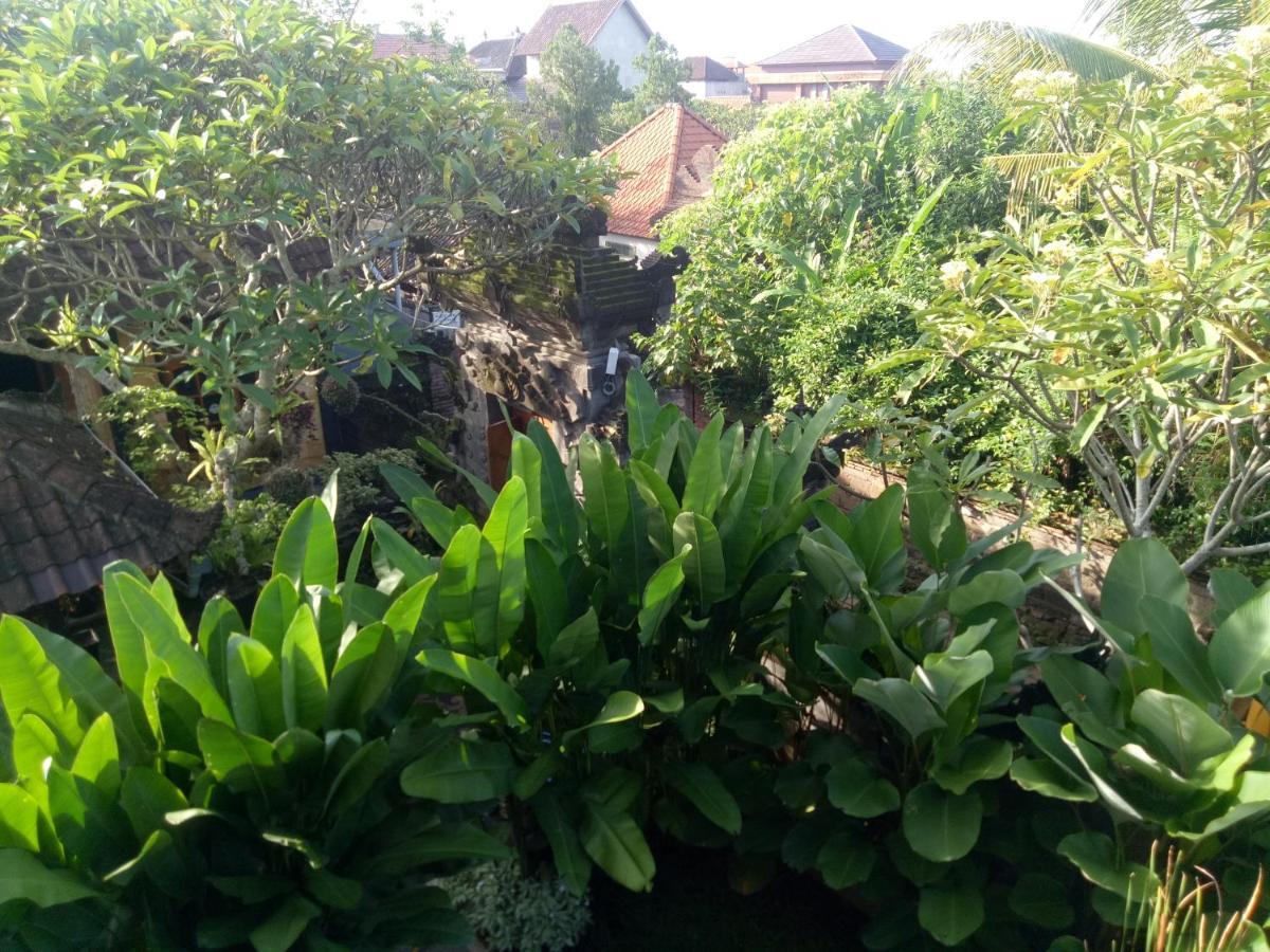 Suryadina Guest house *
