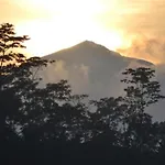 Sunia Jungle Ubud View By Eps