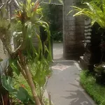 Jero House