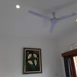 Patra House