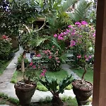 Pondok Gepokan Homestay