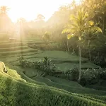 Villa Oia Ubud