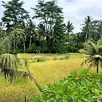 Vista Villa By Dh Ubud