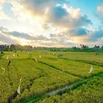 Villa Padi, Stylish 1 Bedroom Villa W/ Rice Paddy Views