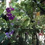 Villa Bhuana Alit