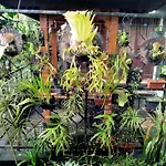 Suweta46 House