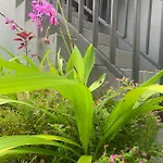 Home Stay Evo