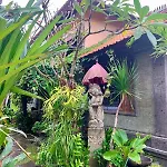 Aya House