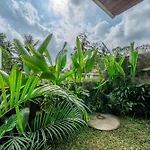 X9 - Promo - Brand New Villa - 3Bdr - Jungle - Ubud