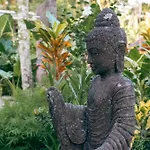 Lumeria Yoga