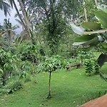 Trecof Jungle Villa