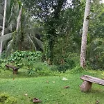 Trecof Jungle Villa