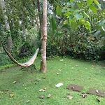 Trecof Jungle Villa