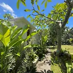 Orchid Ubud Private Villa I