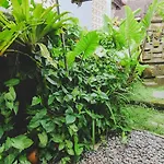 Aura Guesthouse