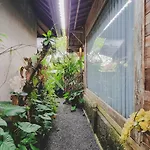 Aura Guesthouse