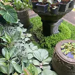 Suryadina Guest House