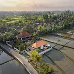 Dijero At Umah Bali