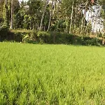 Ubud Batik Villa