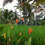 Villa Neyang